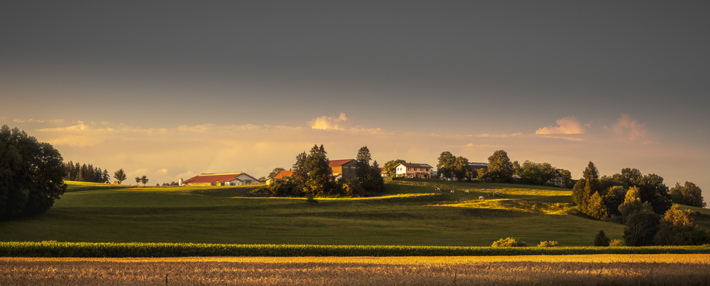 Platz 7 Anton Kienle